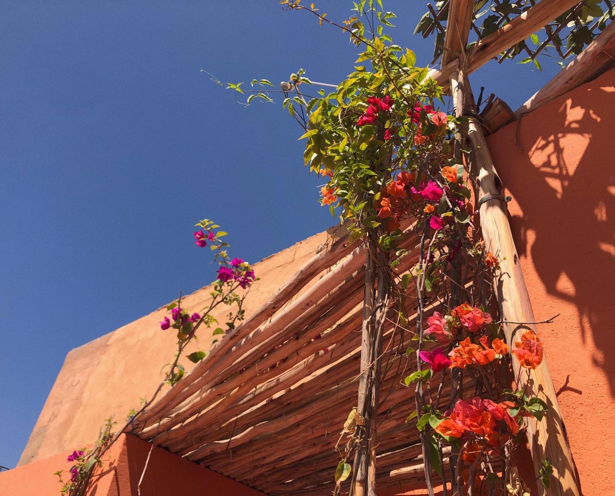 Riad Imndi Marrakesh Ngoại thất bức ảnh